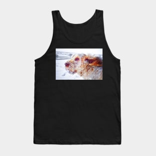 Windswept snowstorm Spinone Tank Top